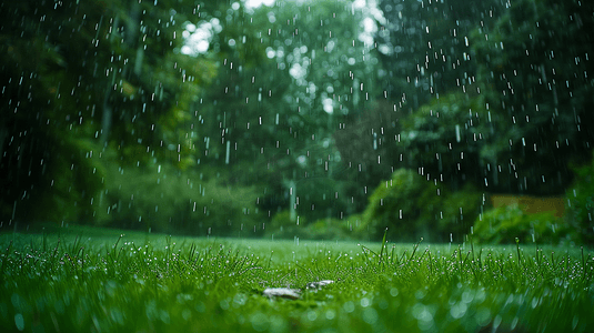 草地雨水摄影照片_下雨天的草坪摄影9