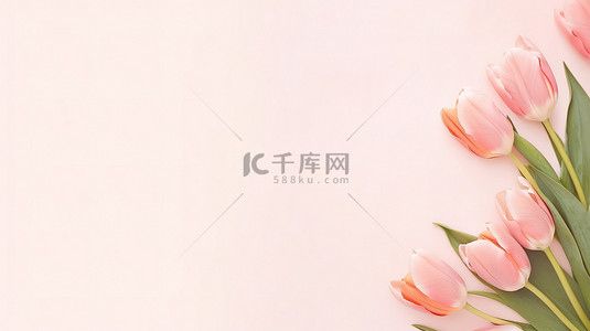 背景框架背景图片_粉红色郁金香花框架背景素材