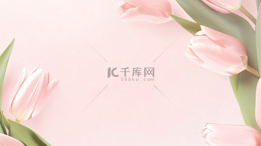 粉红色花朵边框背景图片_粉红色郁金香花框架背景素材