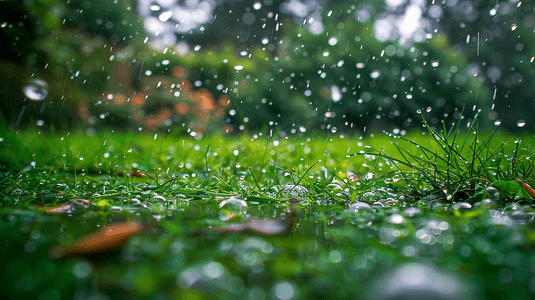 下雨天的草坪摄影11