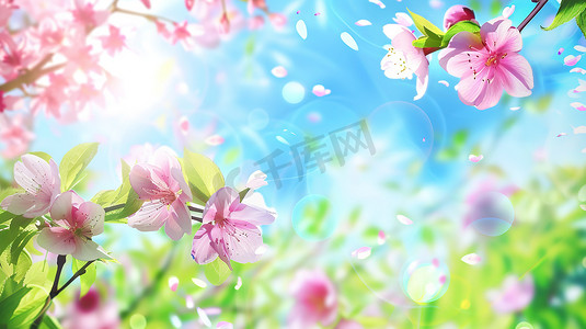 花朵唯美图片摄影照片_美丽的春天樱花花朵高清图片