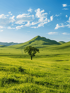 内蒙古大草原景观