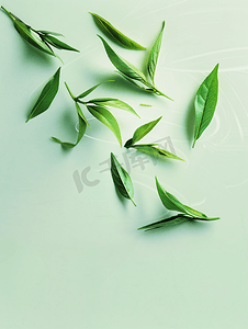 禅茶摄影照片_武夷茶文化绿茶