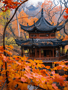 长沙岳麓山爱晚亭秋景