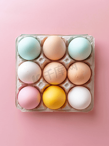 横板海报夏季摄影照片_纸托设计感鸡蛋