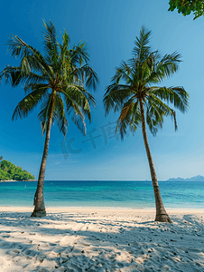 旅游黄金周摄影照片_三亚风光椰子树
