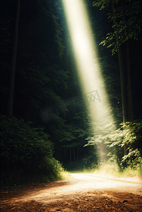 光4摄影照片_树林山洞里的光线摄影图4