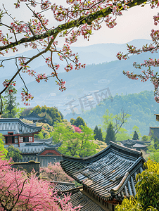 国风绿色背景摄影照片_春天南京清凉山崇正书院的植物绣球花与古代建筑