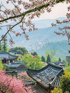 花摄影照片_春天南京清凉山崇正书院的植物绣球花与古代建筑