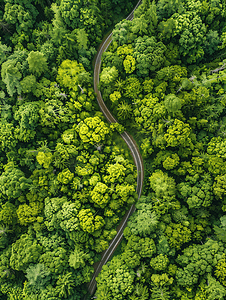 航拍森林道路