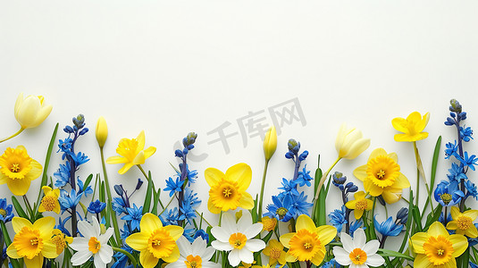 黄色简约花朵平铺的摄影7图片