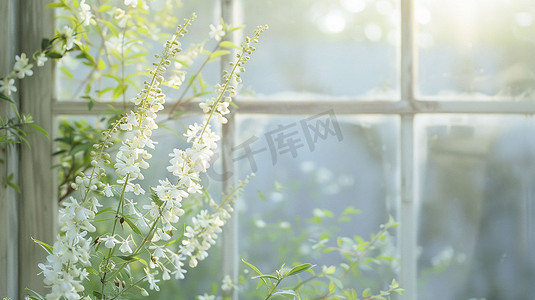 窗户花朵风景立体描绘摄影照片数字艺术