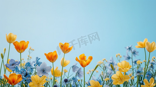 黄色简约花朵平铺的摄影3高清摄影图