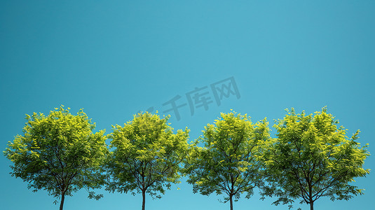 蓝天下一排绿油油的树摄影照片