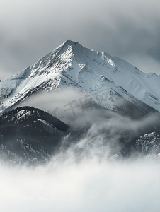 大雪山坚果摄影照片_喀纳斯雪山晨雾