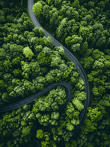 自驾背景摄影照片_航拍蜿蜒道路与森林