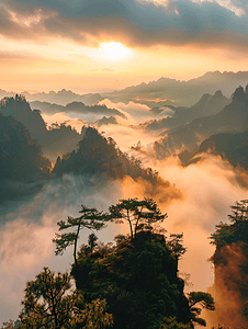 武夷山水旅游