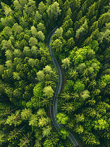 俯瞰森林摄影照片_航拍森林道路