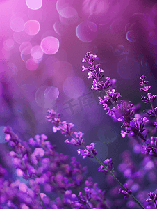 淡色山水底图摄影照片_彩色背景紫色背景