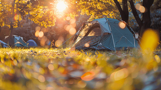 林中草地上的帐篷摄影1