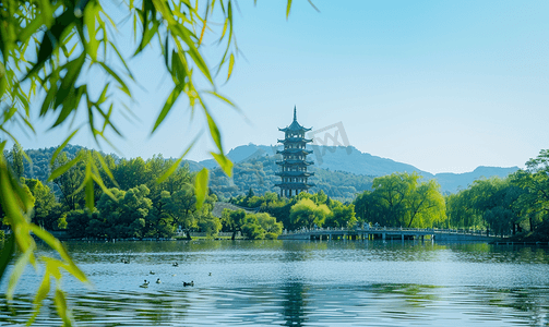 雷锋车队摄影照片_西湖雷锋塔旅游目的地