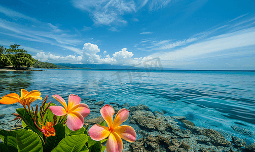 五花海旅行