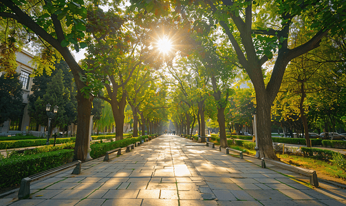 大学校园环境