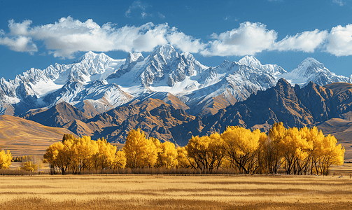 北疆秋色雪山全景