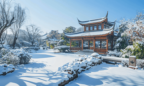 中式植物摄影照片_中式古典园林中的雪景