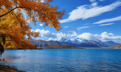 传奇大背包摄影照片_羊卓雍措西藏羊湖