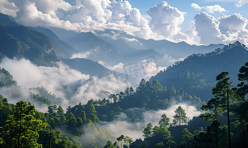 森林背景梦幻背景摄影照片_云雾群山唯美风景