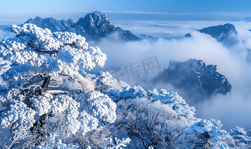 冷空气图片摄影照片_黑龙江洋草山雾凇