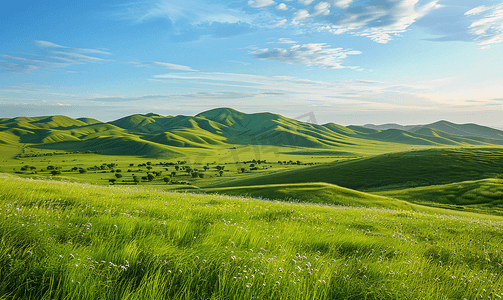 内蒙古大草原景观