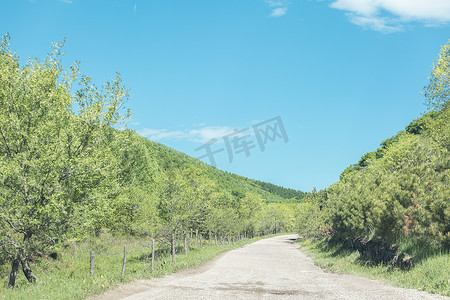 夏季游摄影照片_夏季乡村的沙石路