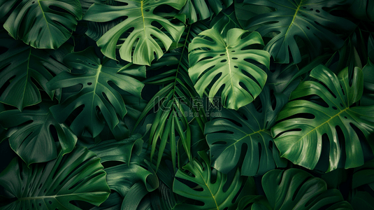 绿色热带植物绿植背景8