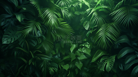 森林纹理背景图片_绿色森林里树叶叶片纹理的背景15