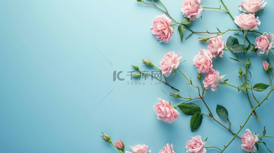 粉色花朵植物装饰小清新背景3
