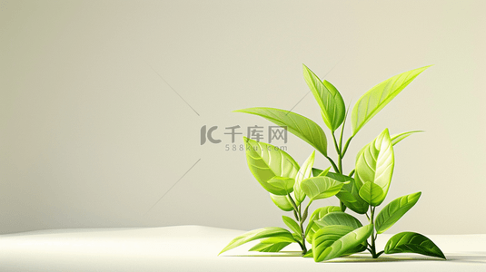 绿植花盆背景图片_白色室内空间花盆绿植的背景7