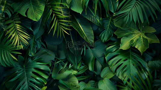 绿色热带植物绿植背景11
