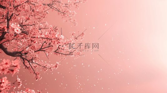 樱花树枝背景图片_粉色中国风盛开的樱花背景11