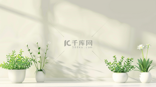 绿植花盆背景图片_白色室内空间花盆绿植的背景11
