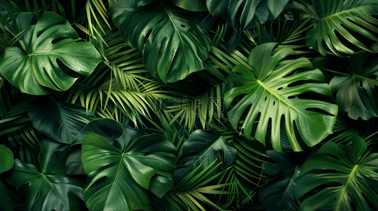 绿色热带植物绿植背景6