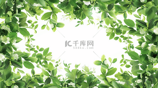 绿色植物装饰叶子边框背景16