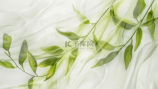 白绿色树叶叶片纹理的背景5