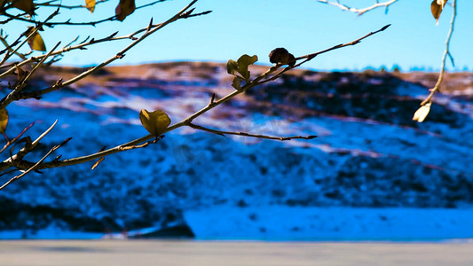 湖泊素材摄影照片_60帧北方冬天结冰的湖面唯美实拍