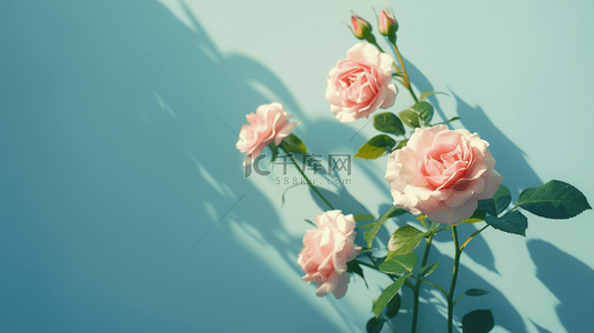 粉色花朵装饰背景图片_粉色花朵植物装饰小清新背景17