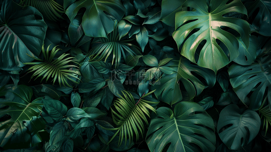 绿色热带植物绿植背景12