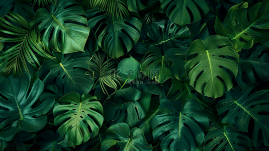 绿色热带植物绿植背景4