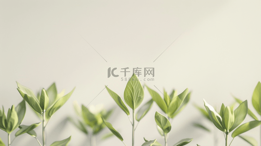 水彩清新树叶背景图片_水彩绘画清新树叶花盆花朵的背景12