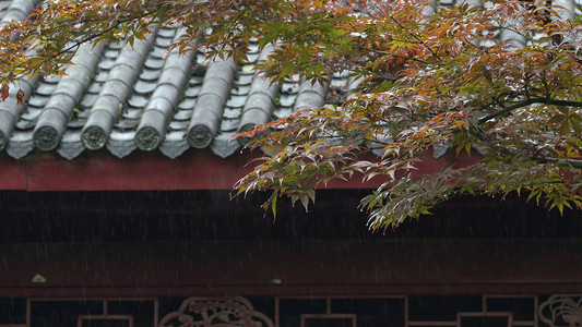 清明时节清明节谷雨雨水春天阴雨天气